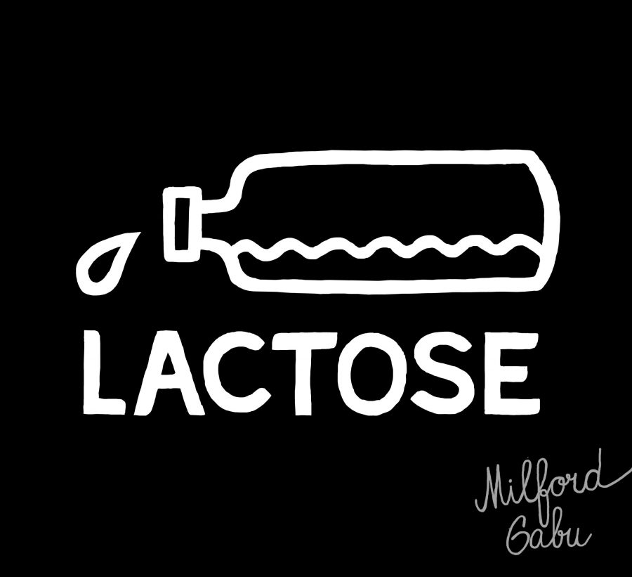 lactose_detail